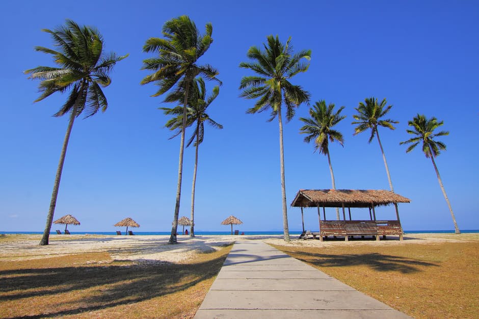 Travel Insurance