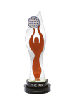 The BIZZ - Peak of Success Award